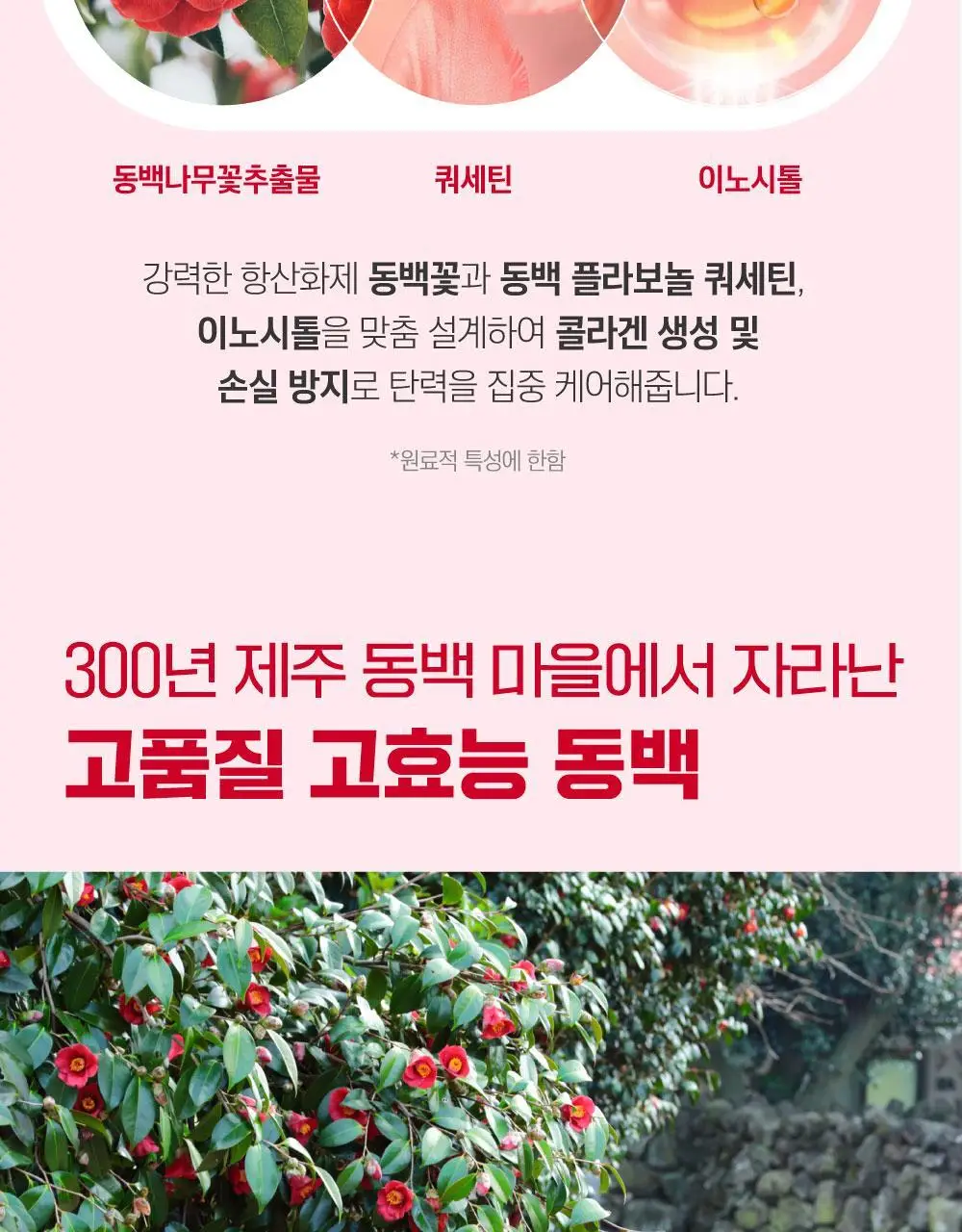 [속광탄력/콜라겐팩] 라운드랩 동백 딥 콜라겐 탄력 겔 마스크 1매 상세페이지 29